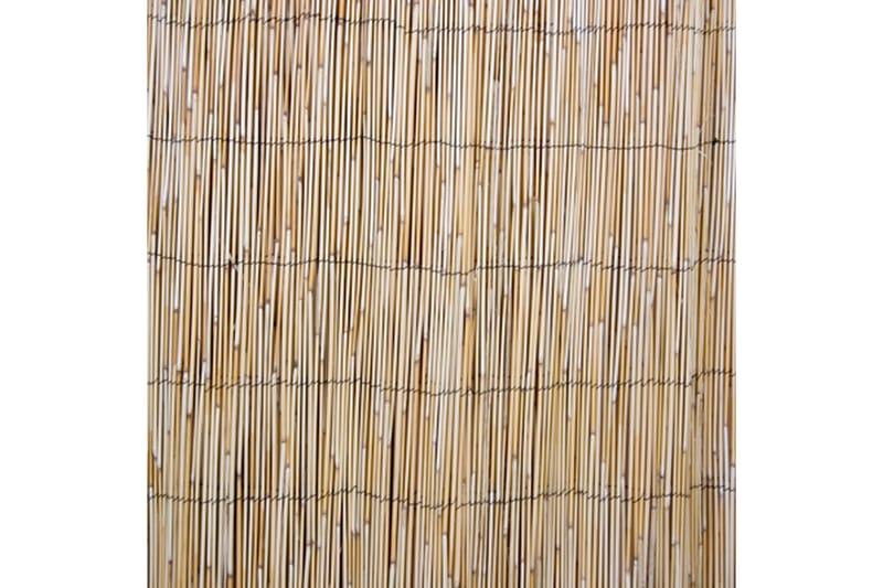 Bambushegn til haven 2x5 m natur - Sk�ærmvæg - Rumdelere