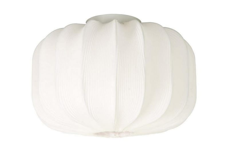 Aneta Madame Plafond 380 cm - Aneta Lighting - Belysning - Lamper & indendørsbelysning - Loftlampe - Plafond