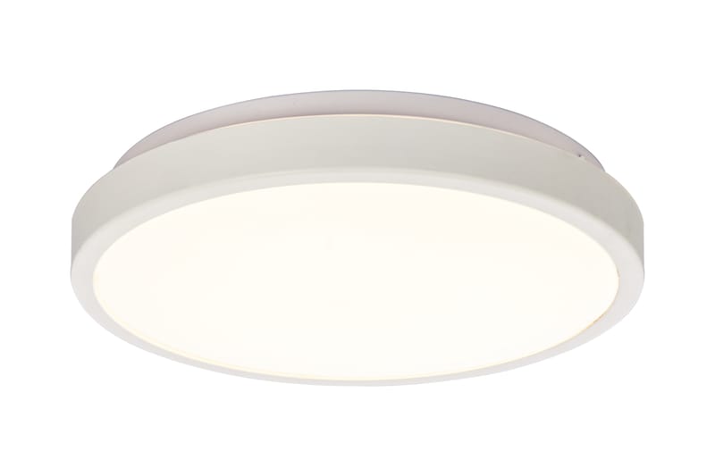 Anillo Plafond Hvid - Scan Lamps - Belysning - Lamper - Loftlampe - Plafond