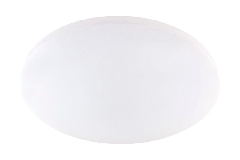 Sajama Plafond 9 cm Rund Hvid - Globo Lighting - Belysning - Lamper - Loftlampe - Plafond