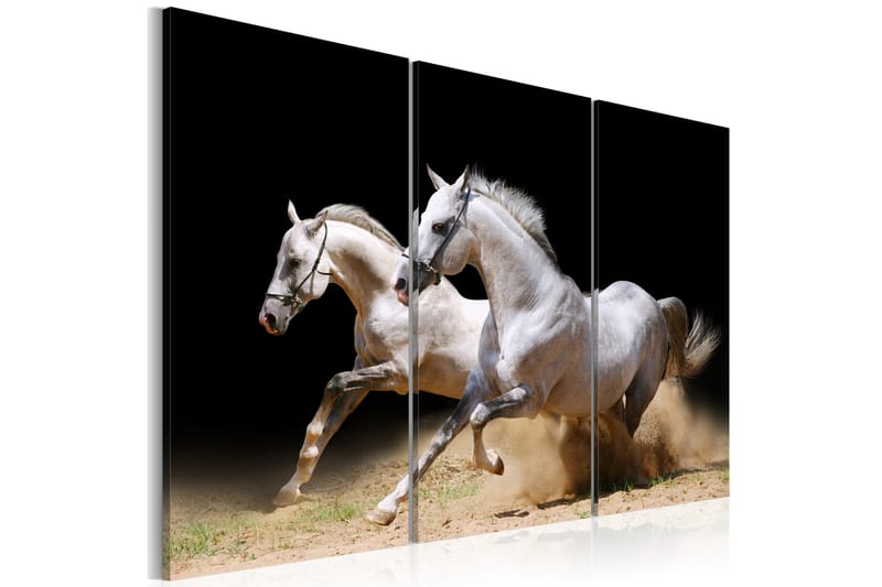 Billede Horses- Power And Velocity 120x80 - Artgeist sp. z o. o. - Boligtilbehør - Billeder & kunst - Billeder på lærred