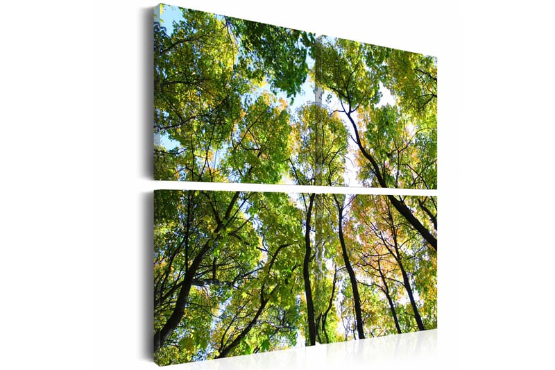 Billede Treetops 40x40 - Artgeist sp. z o. o. - Boligtilbehør - Billeder & kunst - Billeder på lærred