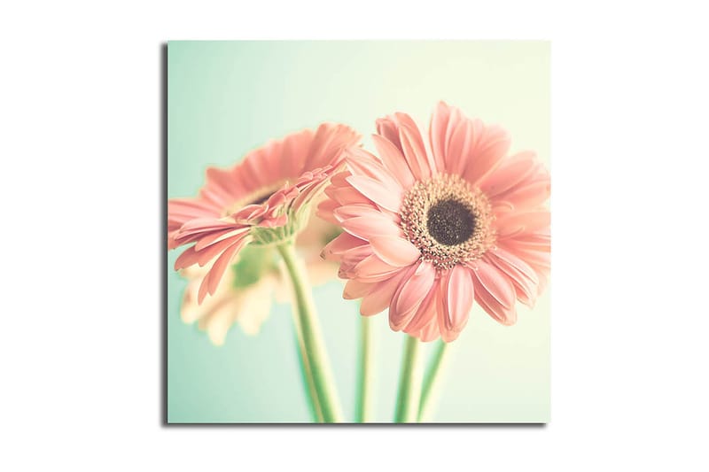 Canvas Blomster Flerfarvet - 44x54 cm - Boligtilbehør - Billeder & kunst - Posters & plakater