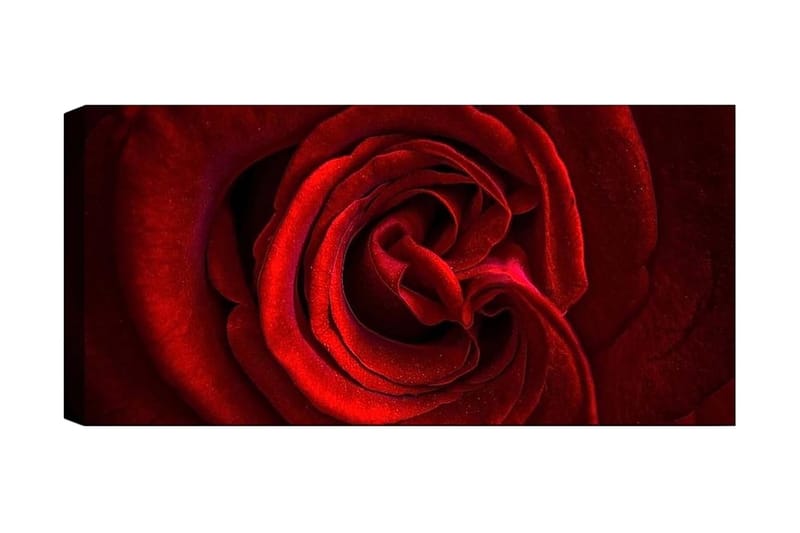 Canvasbillede YTY Floral & Botanical Flerfarvet - 120x50 cm - Boligtilbehør - Billeder & kunst - Billeder på lærred
