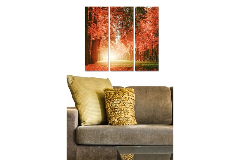 Billede Floral 3 stk Flerfarvet - 22x05 cm - Boligtilbehør - Vægdekoration - Rammer - Ramme poster