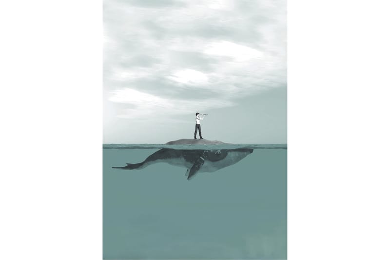 Boy & Whale Foto Blå/Grå - 50x70 cm - Boligtilbehør - Billeder & kunst - Posters & plakater - Illustrerede plakater