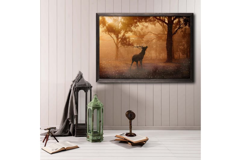 Deer At Dawn Foto Orange/Brun - 70x50 cm - Boligtilbehør - Billeder & kunst - Posters & plakater