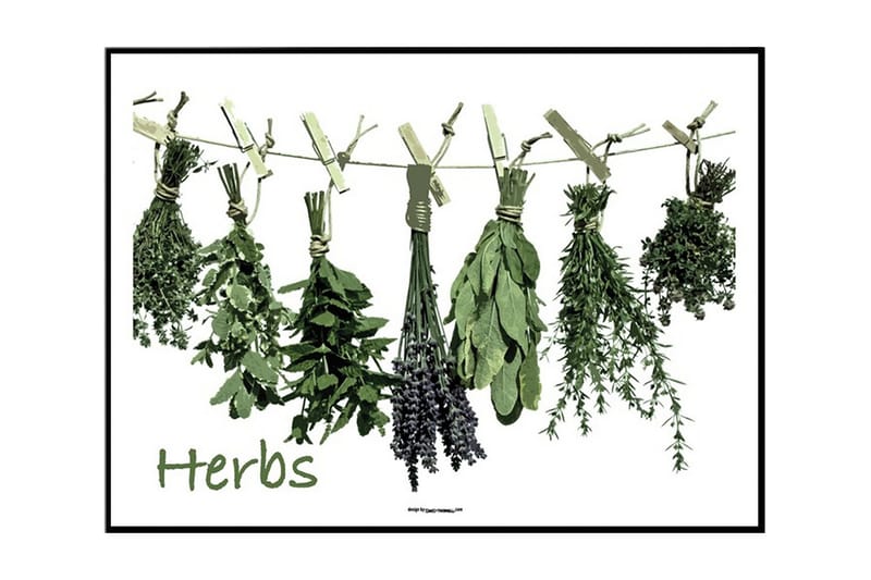 Herbs Hanging On Washing Line Illustration Multifarvet