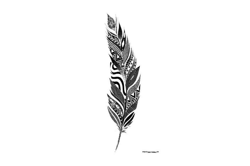 Patterned Feather Illustration Svat/Hvid