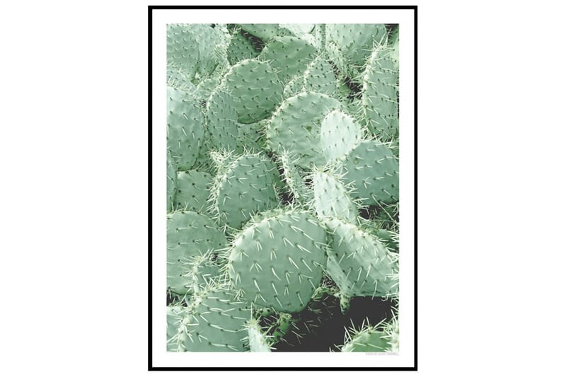 Poster Cactus - Findes i flere størrelser - Boligtilbehør - Billeder & kunst - Posters & plakater