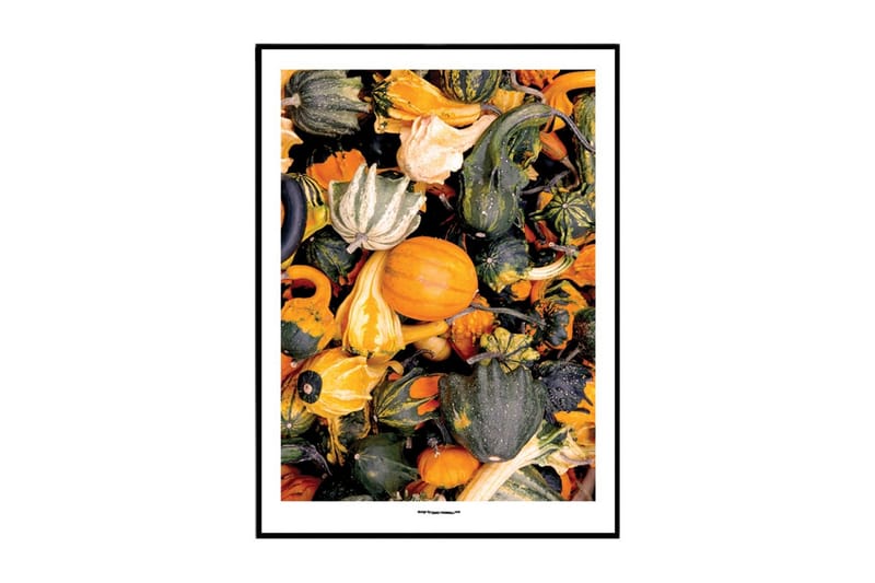 Squash Assortment Foto Orange/Grøn - 70x100 cm - Boligtilbehør - Billeder & kunst - Posters & plakater