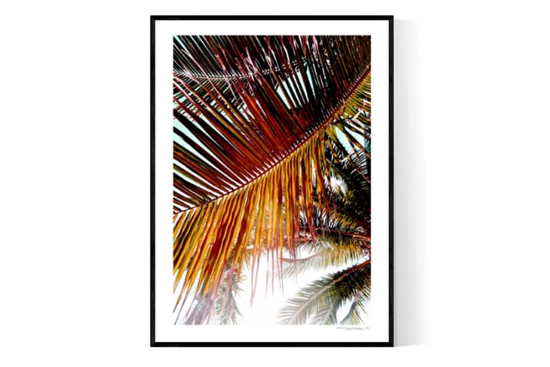Sunrise Palm Trees Foto Orange/Grøn - 30x40 cm - Boligtilbehør - Billeder & kunst - Posters & plakater