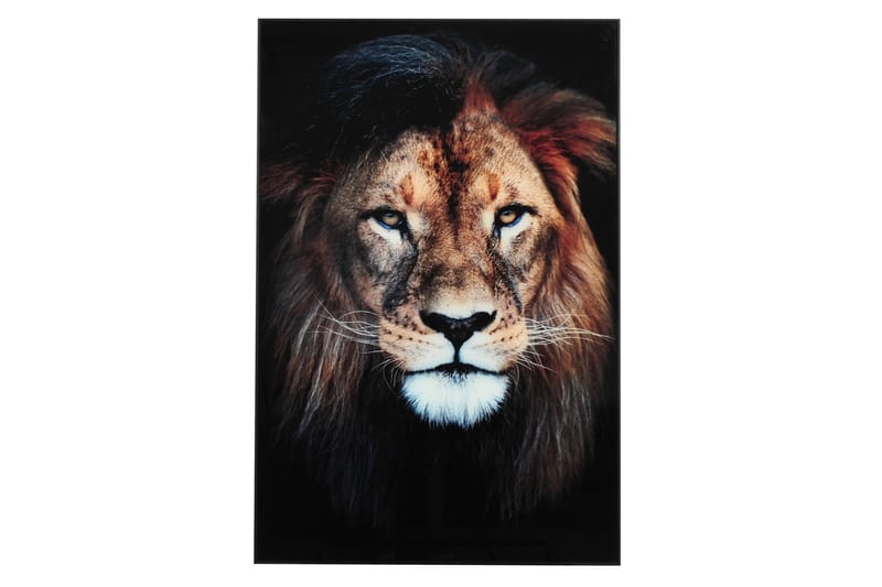 Løve Billede - 80x120 cm Flerfarvet - Boligtilbehør - Billeder & kunst - Billeder på lærred