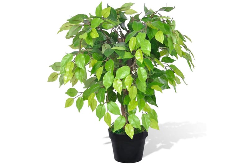 Kunstig Dværg Ficus Med Potte 60 Cm - Grøn - Boligtilbehør - Kunstige planter
