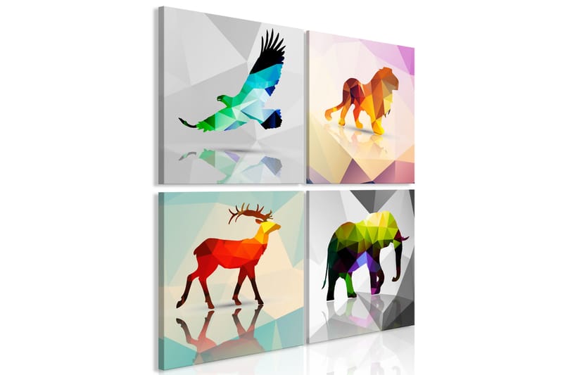 Billede Colourful Animals 4 Parts 40x40 - Findes i flere størrelser - Boligtilbehør - Vægdekoration - Billeder på lærred