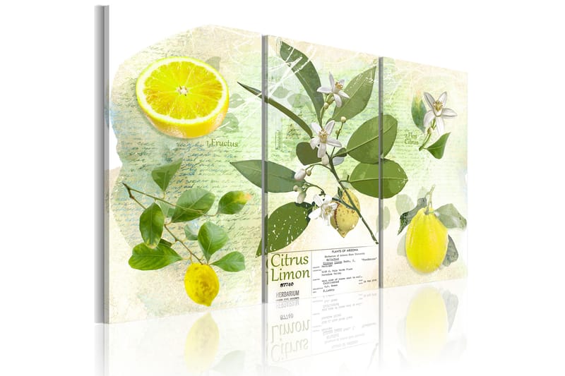 Billede Fruit: lemon 90x60 - Fås i flere størrelser - Boligtilbehør - Vægdekoration - Billeder på lærred
