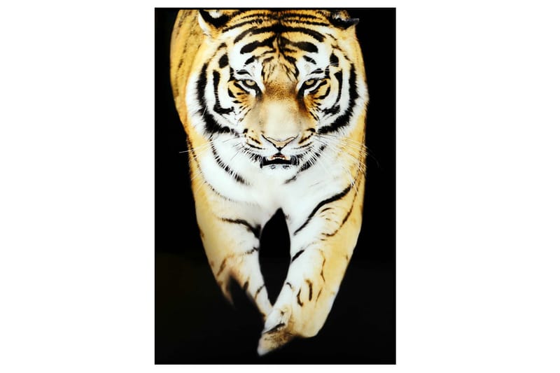 Tiger Billede - 80x120 cm Flerfarvet - Boligtilbehør - Vægdekoration - Rammer - Billedrammer