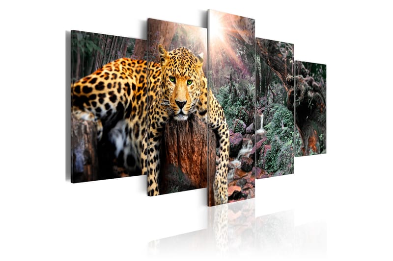Billede Leopard Relaxation 100x50 - Artgeist sp. z o. o. - Boligtilbehør - Billeder & kunst - Billeder på lærred