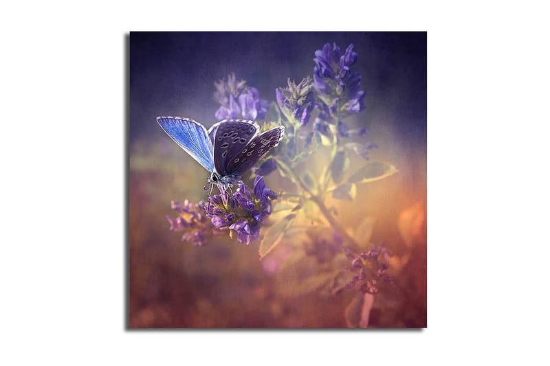 Canvas Blomster Flerfarvet - 44x54 cm - Boligtilbehør - Vægdekoration - Billeder på lærred