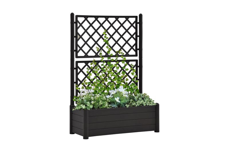 Plantekasse med espalier 100x43x142 cm pp antracitgrå - Antracit - Havemøbler - Tilbehør udendørs - Havekrukker