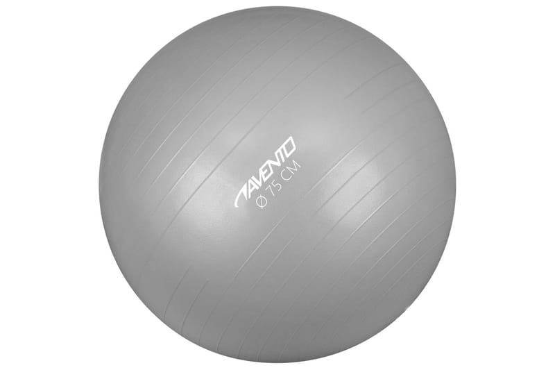 Avento træningsbold diam. 75 cm sølvfarvet - Sølv - Sport & fritid - Hjemmetræning - Vægte & vægtstænger - Medicinbold