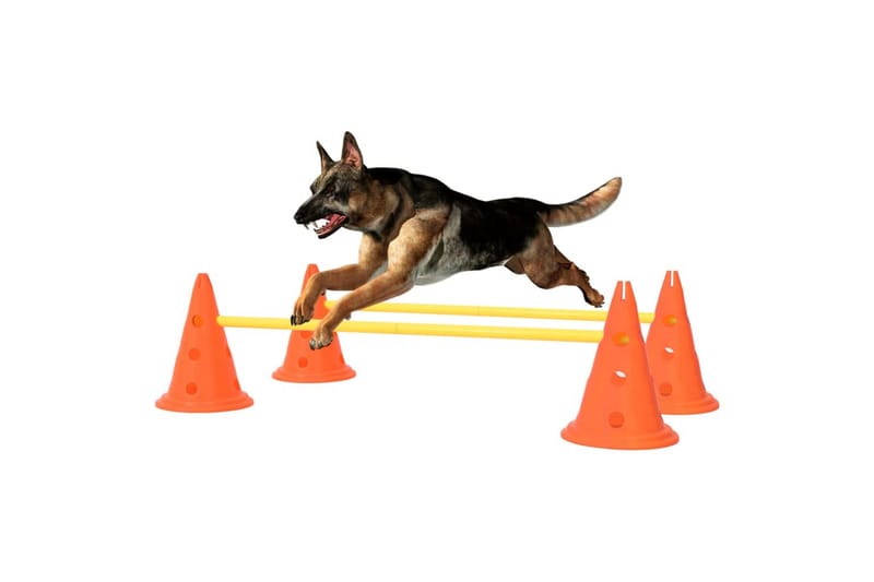 forhindringsbanesæt til hunde orange og gul - Orange - Sport & fritid - Til dyrene - Hund - Hundetilbehør & hundeaccessories - Hundelegetøj & bamser hund